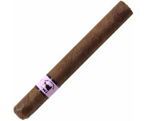 Honey Berry de JM