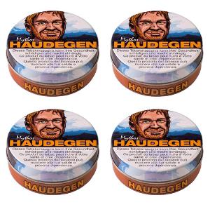 Haudegen